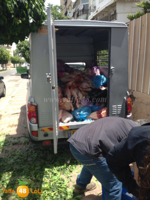 lo7oom lud 0527 (4).JPG